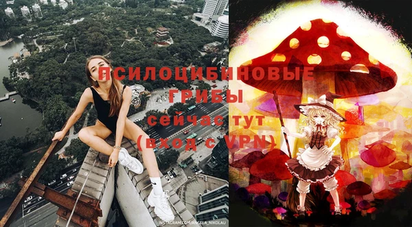 соль ск Майский
