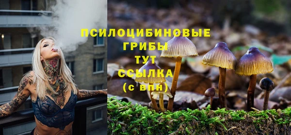 молекула духа Михайловка